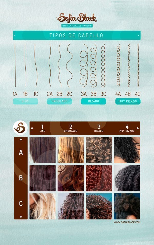 Tipos de cabello - Desde el 1A (liso), hasta el 4C (kinky o muy rizado).
