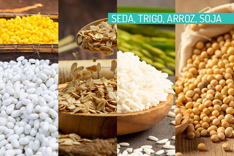 Hay varios tipos de proteína: de arroz, proteína de trigo, proteína de seda, de soja...